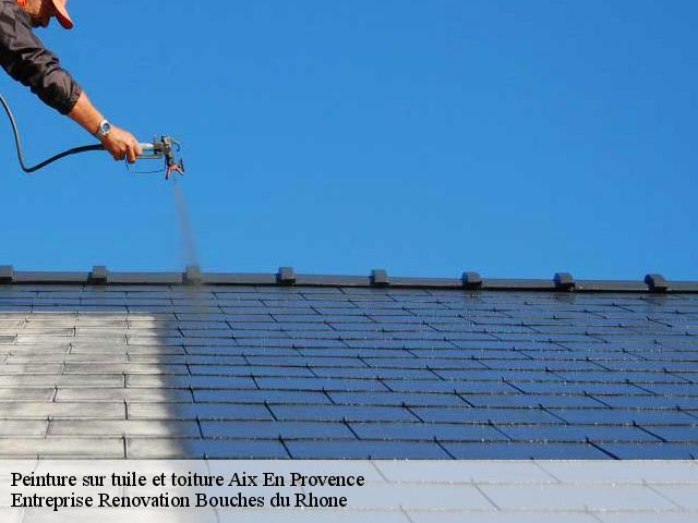 Peinture sur tuile et toiture  aix-en-provence-13090 Entreprise Renovation Bouches du Rhone