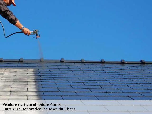 Peinture sur tuile et toiture  auriol-13390 Entreprise Renovation Bouches du Rhone