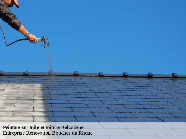 Peinture sur tuile et toiture  belcodene-13720 Entreprise Renovation Bouches du Rhone