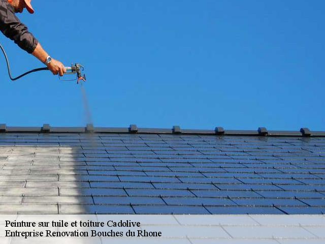 Peinture sur tuile et toiture  cadolive-13950 Entreprise Renovation Bouches du Rhone