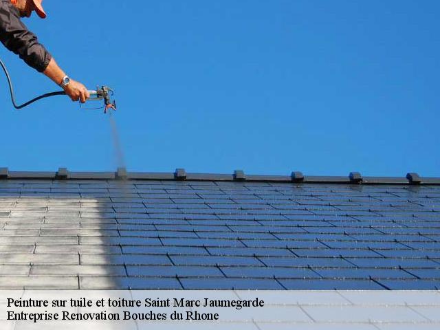 Peinture sur tuile et toiture  saint-marc-jaumegarde-13100 Entreprise Renovation Bouches du Rhone